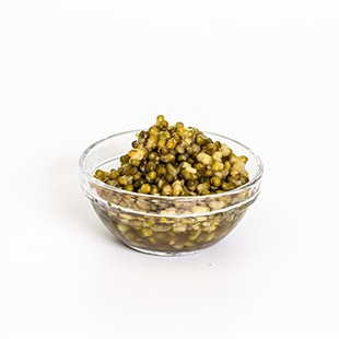 Mung Bean