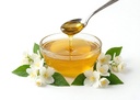 Jasmine Green Tea Concentrate